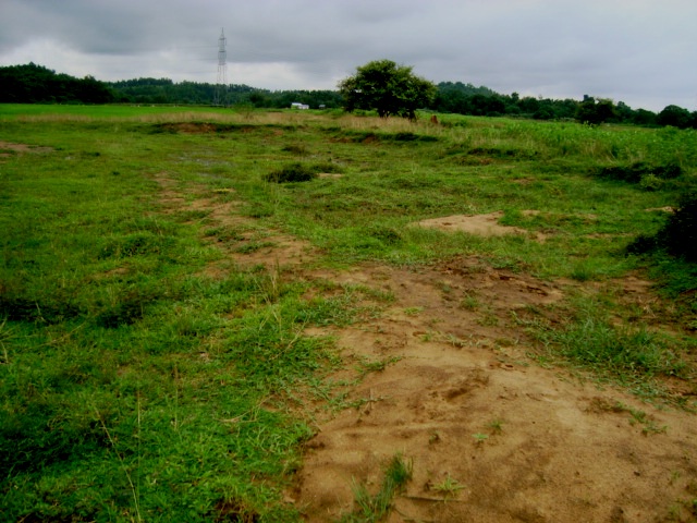 Image result for Rampant sand mining destroys Assamâs Kharkhari river, renders paddy farming unsustainable along its banks
